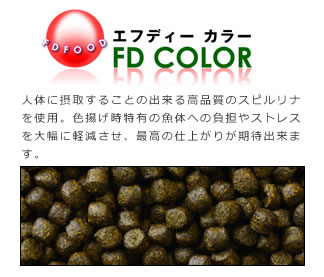 最高級色揚げ飼料 エフディーカラー/FD COLOR